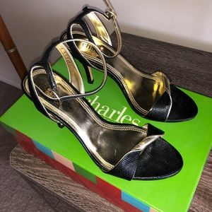 Charles By Charles David